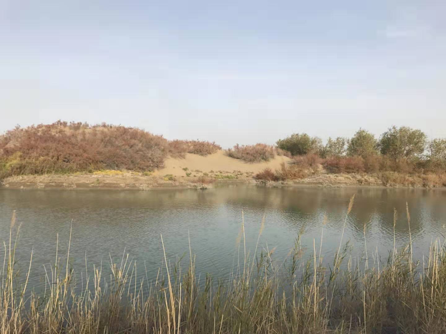23041914321978063.jpg