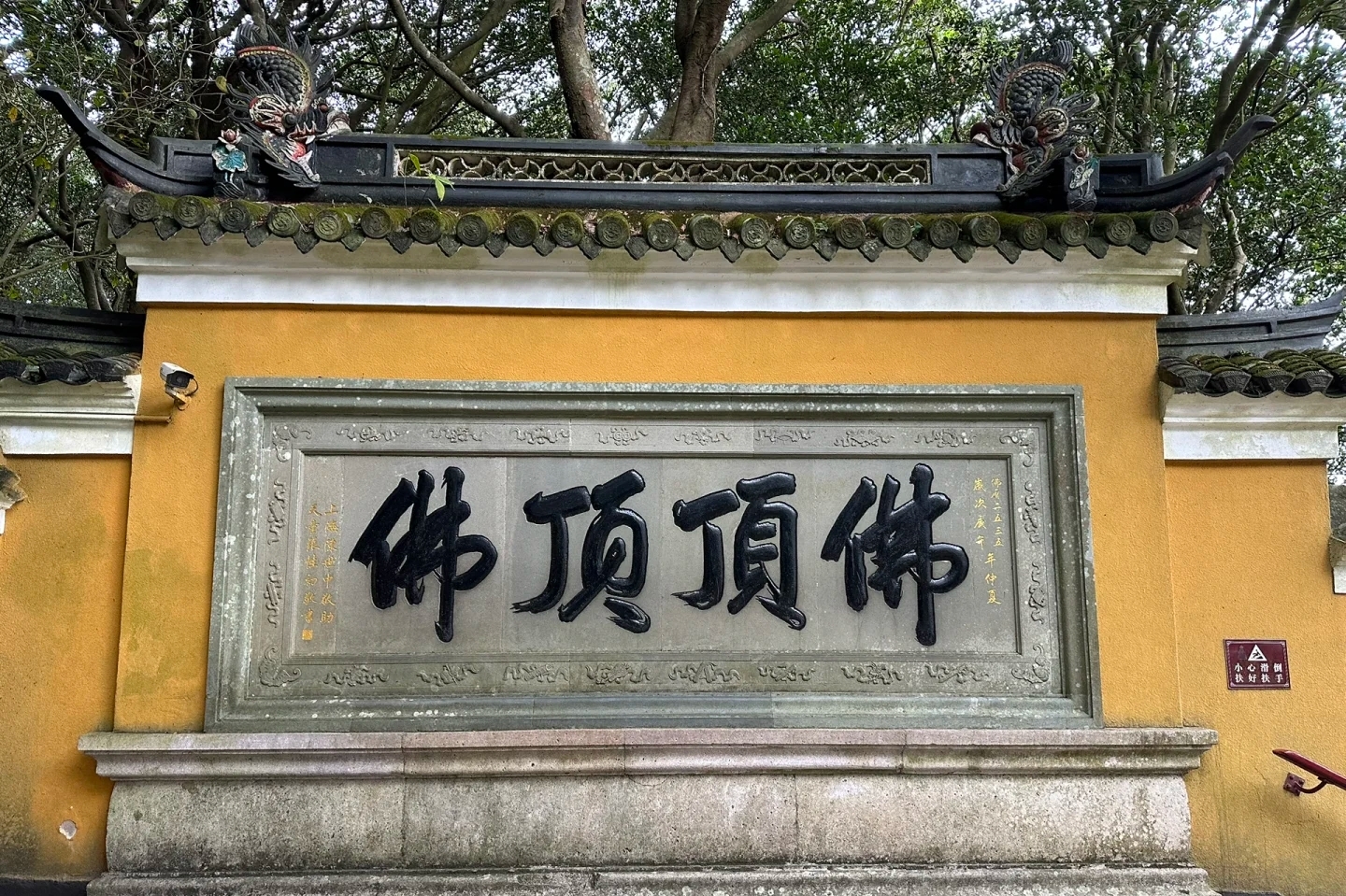 24111816531448099.jpg