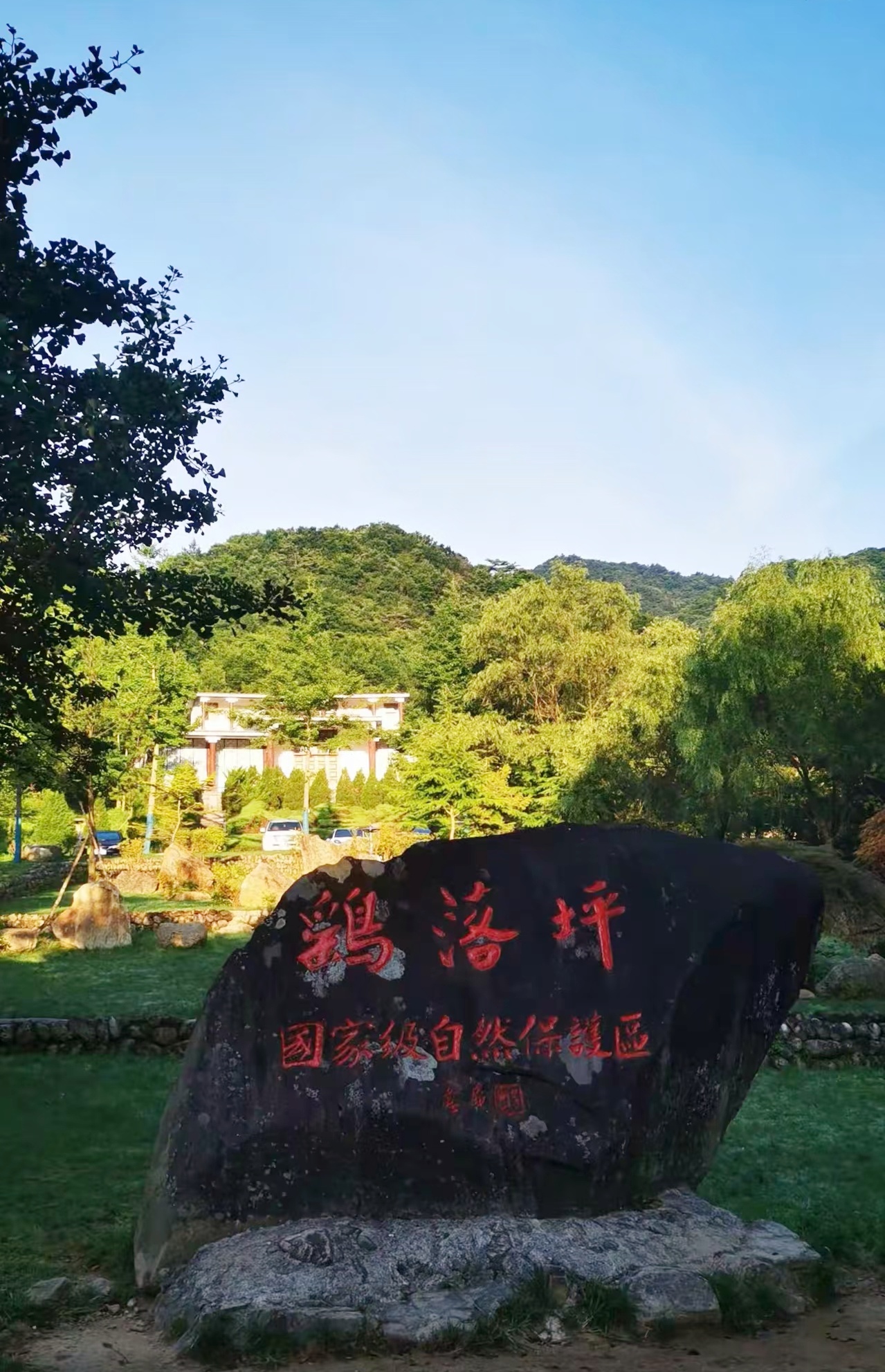 25061612113072381.jpg